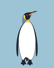 Obraz premium Penguin. King Penguin