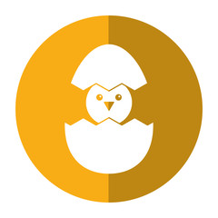 cute easter egg chick shadow vector illustration eps 10