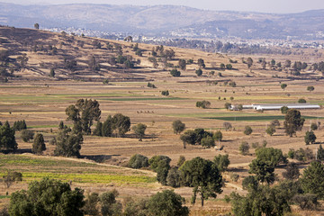  Mexican agricultural landscape