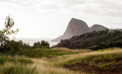 Fototapeta premium Maui Grass With Distant Cliffs