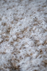feather detail