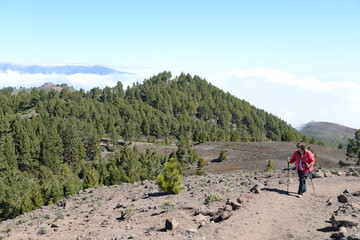 Obraz premium Vulkanroute auf La Palma