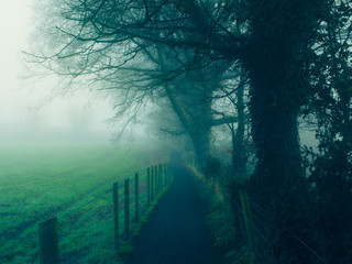 foggy countryside in Northern Ireland