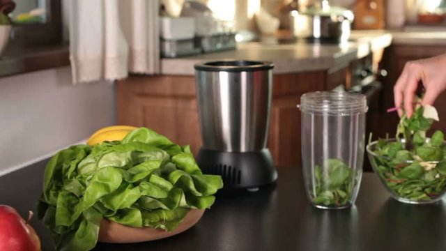 Making A Green Juice In The Kitchen - Woman Hands Putting Green Leaves Into Mixer Bowl