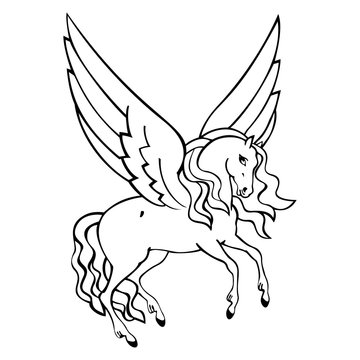 beautiful drawing of pegasus