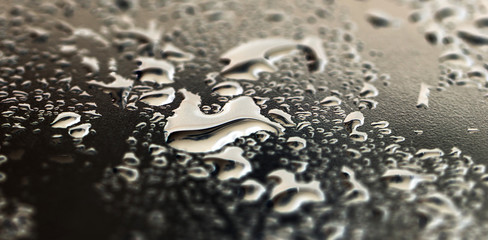 water drops as background