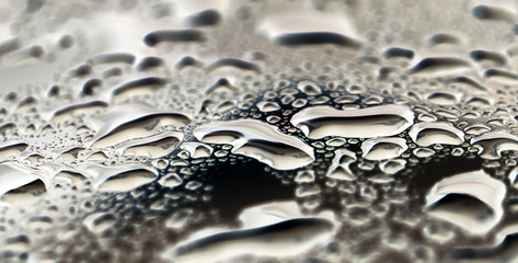 water drops as background