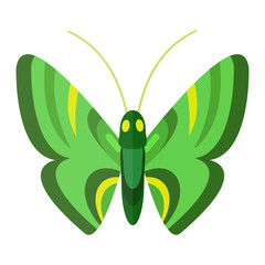 Colorful butterfly vector illustration.