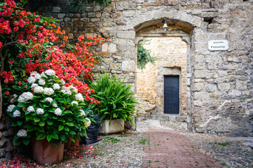 Fototapeta na wymiar The yard with many flowers in the ancient town of Ventimiglia. Italy.