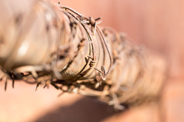 barbed wire on tube