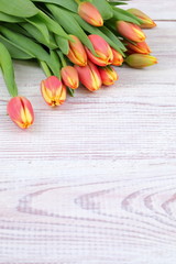 Tulipan © fotodrobik