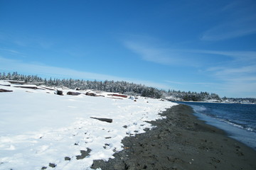 Sandy Beach Covered in Snow with Driftwood