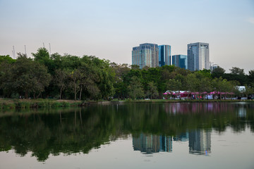 Plakat reflect from park in city