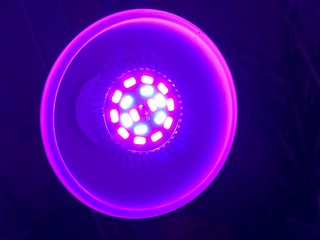 LED Plant Light - 136614777