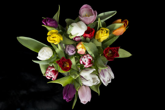 Fototapeta Tulips bouquet isolated on black background