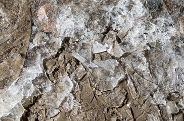 Fototapeta premium ice on the ground as a background