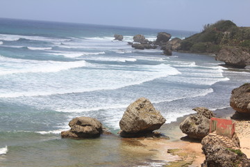 Ocean