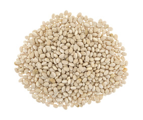 Portion of organic navy beans on a white background.