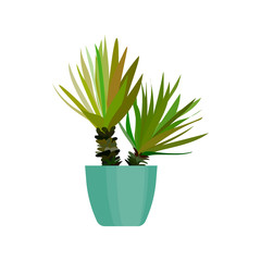 Green house plant in pot. Leaf cactus flat. Vector.