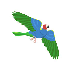Cartoon parrot flying bird vector illustration.