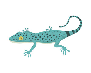 Blue lizard reptile isolated vector illustration.