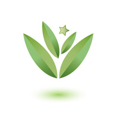 Green leaf logo with star, vector illustration