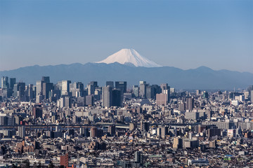 Tokyo city view , Tokyo downtown building and Tokyo tower landmark with Mountain Fuji on a clear day. Tokyo Metropolis is the capital of Japan and one of its 47 prefectures.