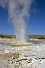 Yellowstone