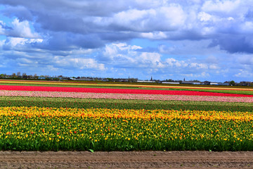 キューケンホフ公園