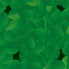 Fototapeta premium Green Beech Leafs. Vector illustration and Background.