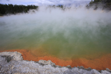 Bassin et source d'eau chaude /  Wai-O Tapu