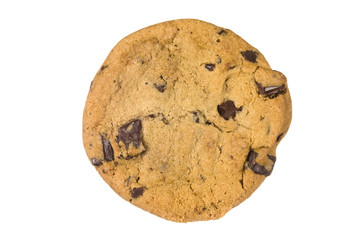 Chocolate chip cookie isolated on white