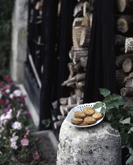 Palets des garnements aux graines d'orties