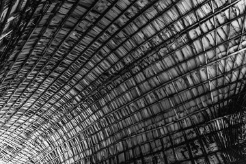 wood texture background