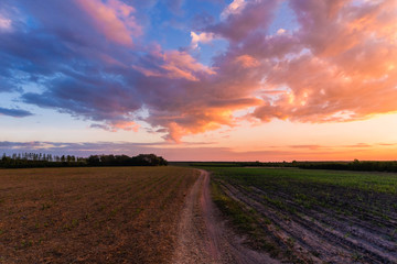 Obraz premium landscape at sunset time