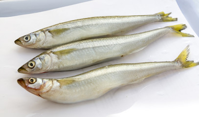 Raw fish smelt on a light background