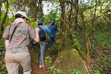 Traveller trekking on Doi Luang Chiang Dao Mountain. Chiang mai,