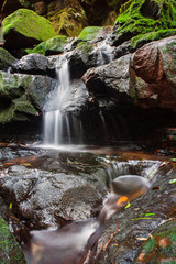 Fototapeta premium Sai Thip Waterfal in winter season at Phu Soi Dao National Park, Thailand.