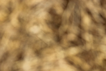  Blurred Abstract Background.