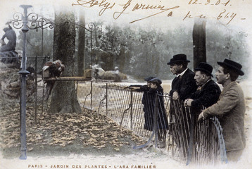 carte postale / Jardin des Plantes © PIXATERRA