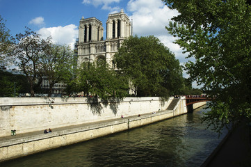 Fototapeta na wymiar Nortre-Dame / Paris