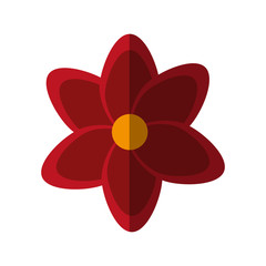 beautiful flower icon over white background. colorful design. vector illustration