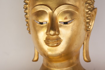 buddha image in temple