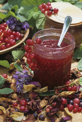 Confiture / Gelée de groseilles