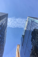 large contrail cloud over Manhattan in winter