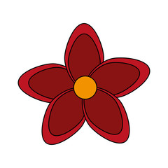 beautiful flower icon over white background. vector illustration