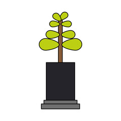 plant in a pot icon over white background. vector illustration