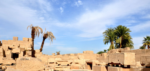 Stones and Palm trees ，karnak Temple