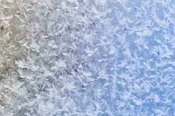 Obraz na płótnie Canvas Frost patterns