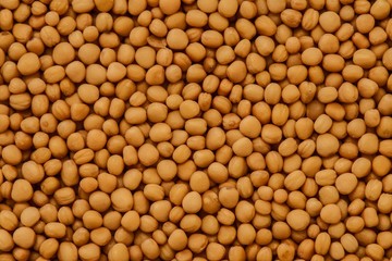 White mustard seeds as background or texture